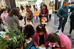 IMG_20250810_115913-de-tamano-grande