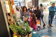 IMG_20250810_120448-de-tamano-grande